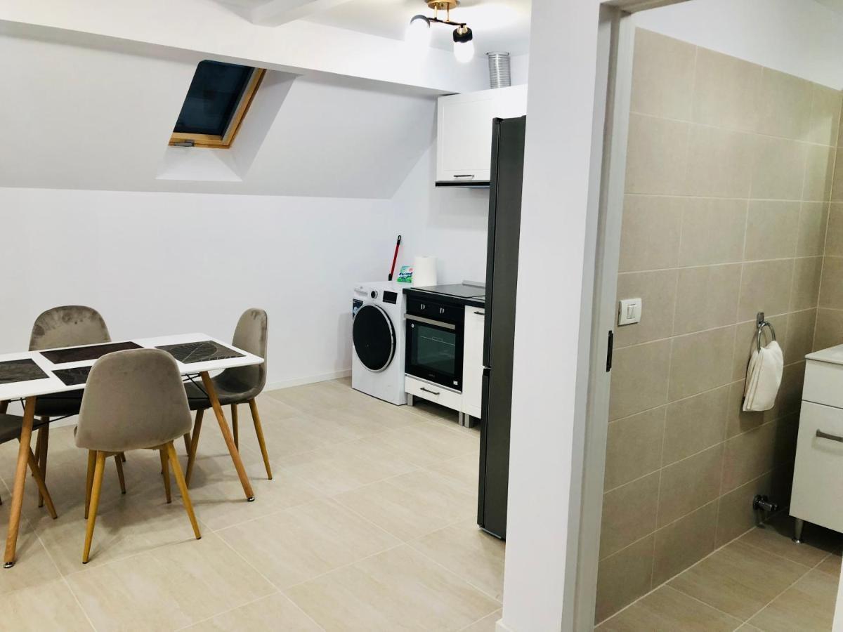 New And Modern Apartments In Villa, Near City Center M36 Timişoara Exterior foto